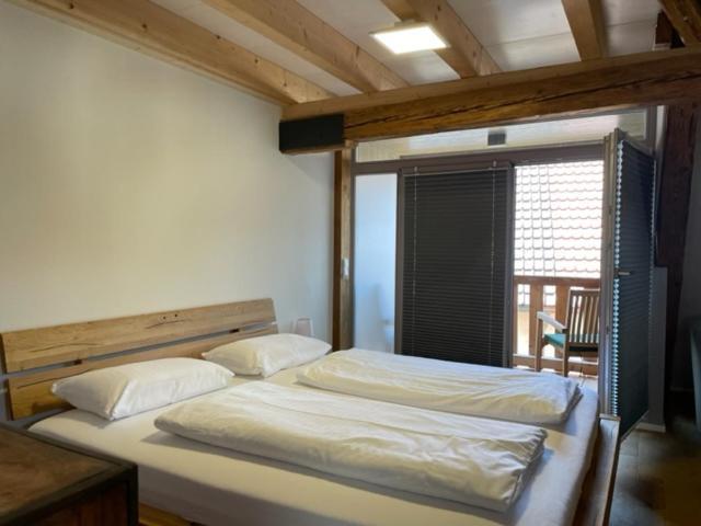 Bodenseehotel Krone & Gaestehaus Бодман-Людвигсхафен Экстерьер фото